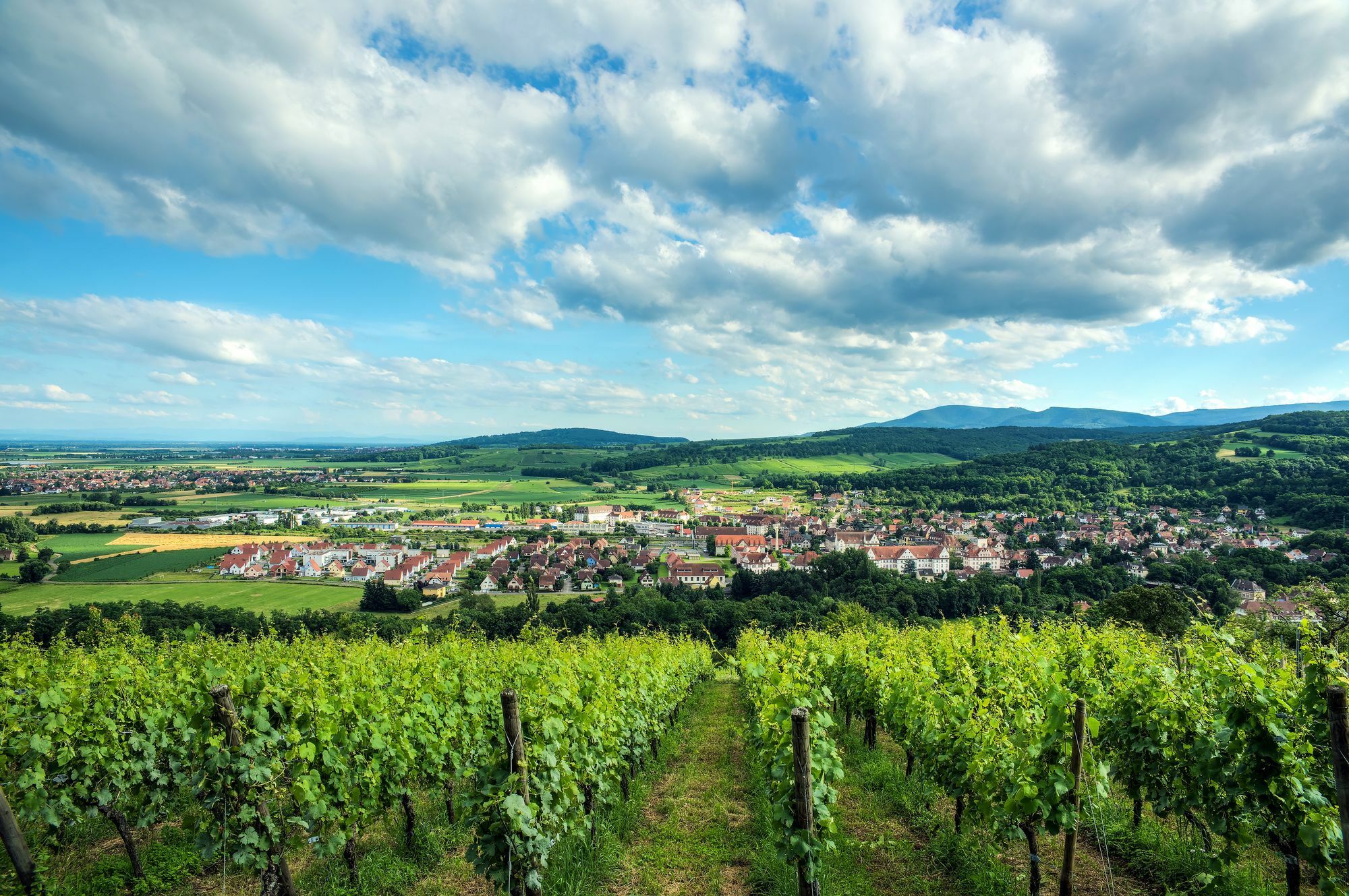 Comfort Aparthotel Mutzig Portes D'Alsace Kültér fotó